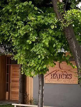 Raices Bed And Breakfast Coyhaique Exteriér fotografie