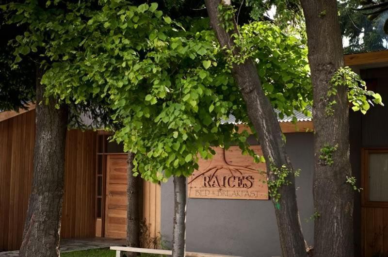 Raices Bed And Breakfast Coyhaique Exteriér fotografie